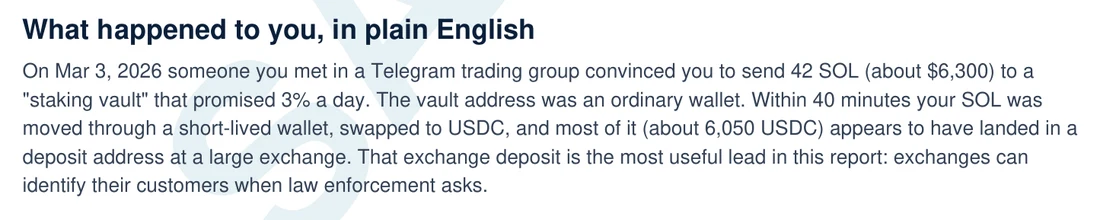 Excerpt from the sample report: What happened to you, in plain English