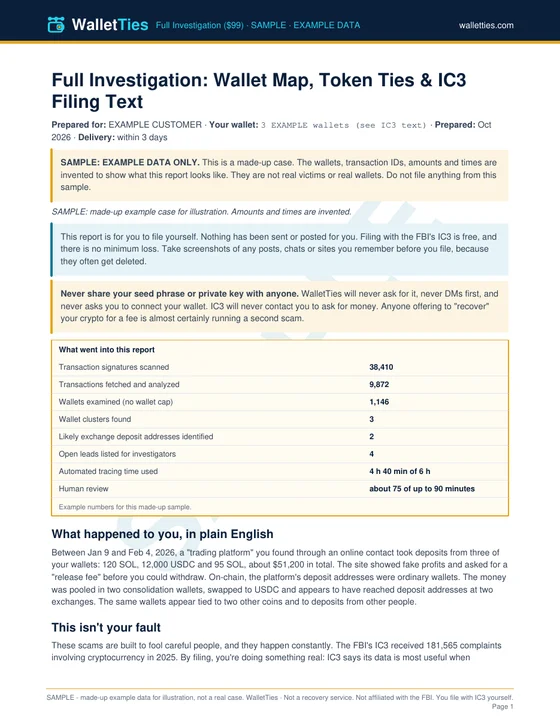 First page of the sample Full Investigation